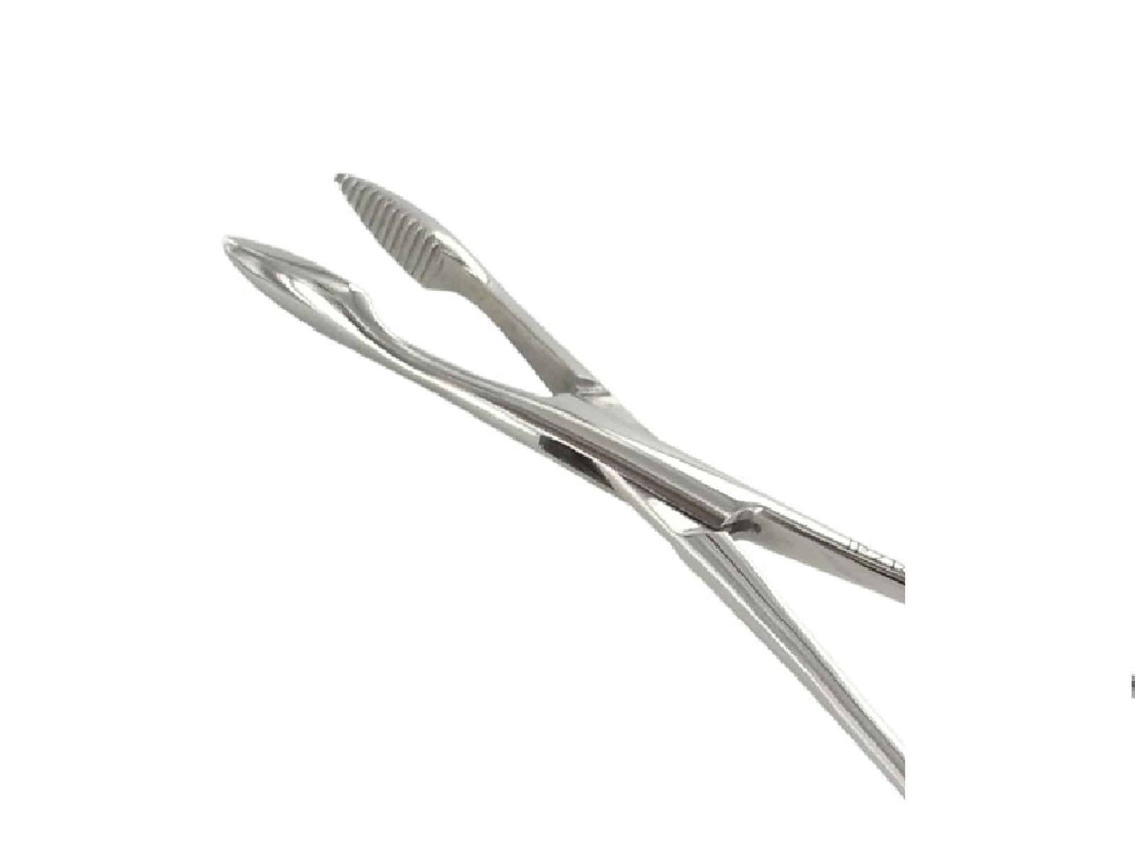 Pince de Péan en inox - 16 cm