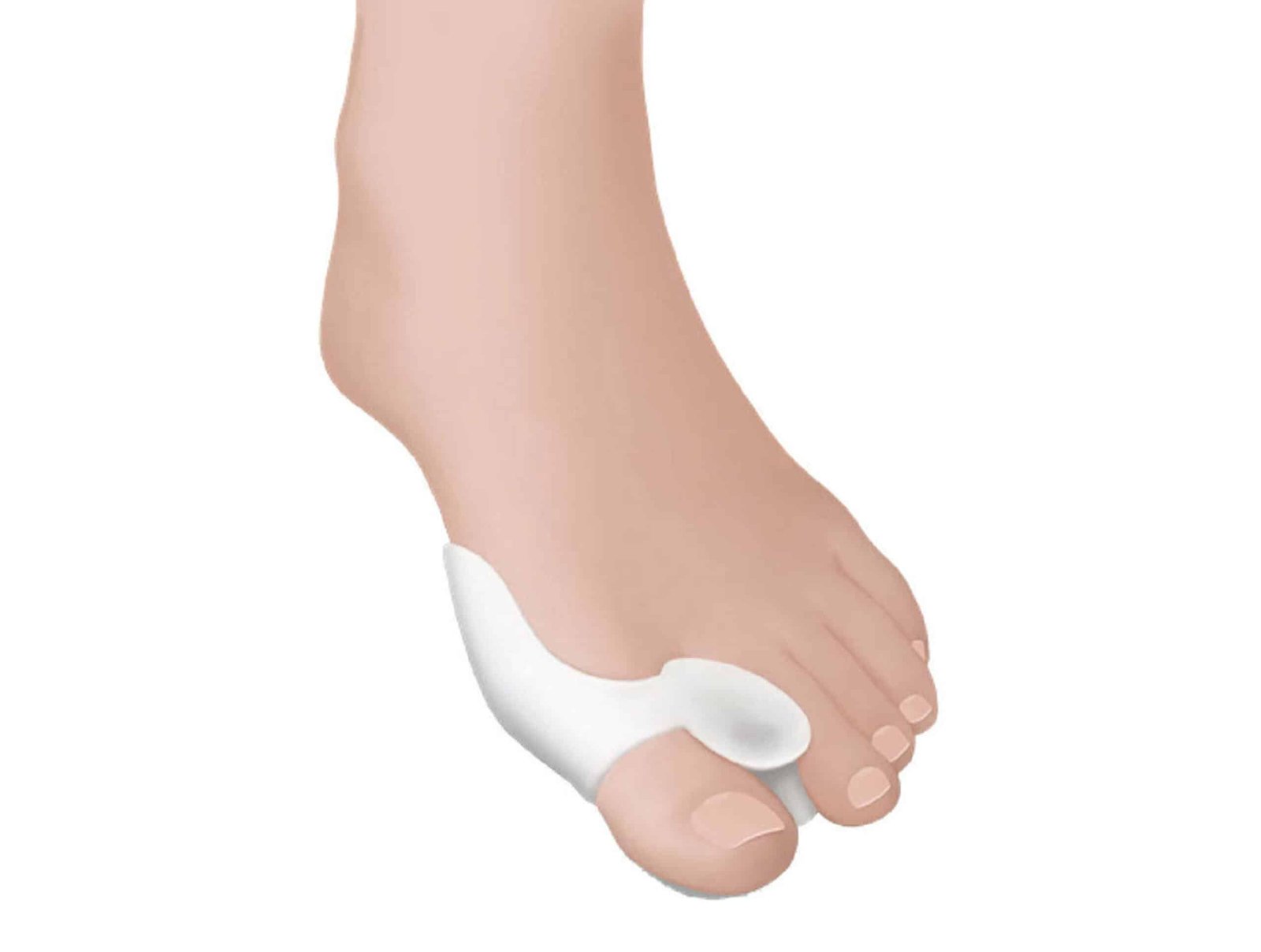 Protecteur hallux valgus