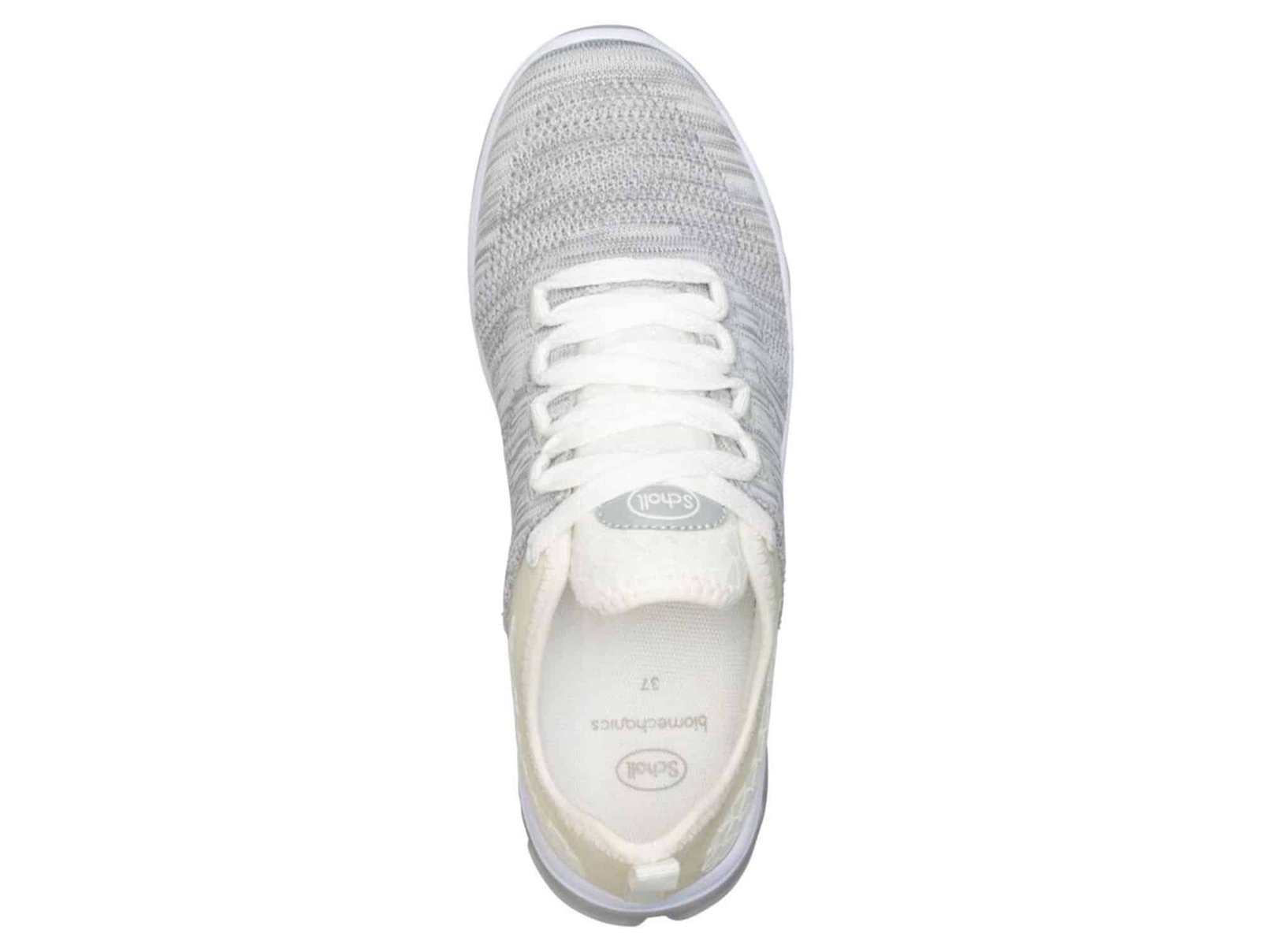 Sneakers Darwin Gris Clair