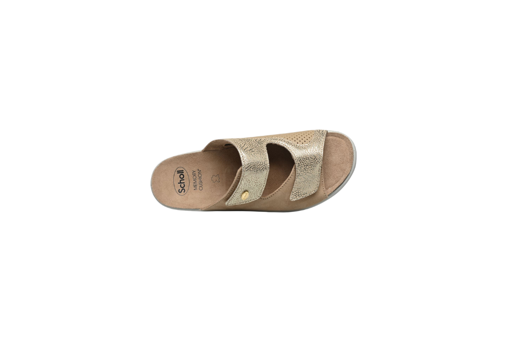 antonia elastic platinium 4