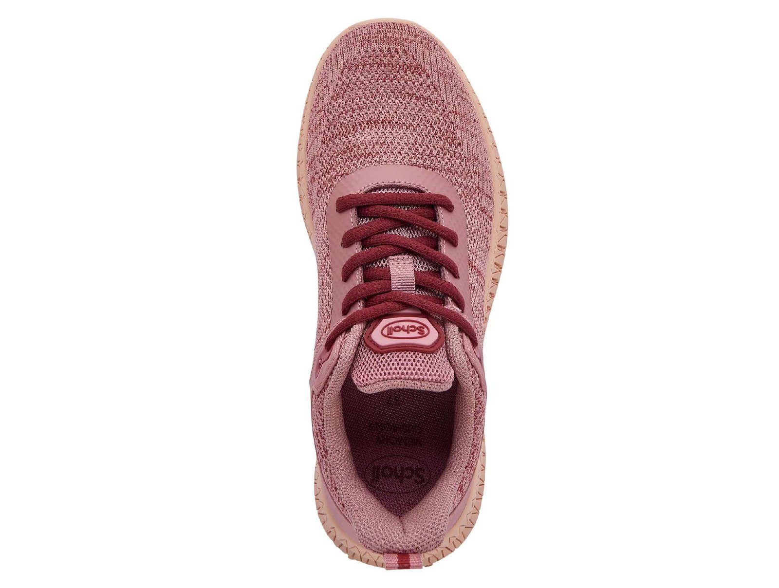 Sneakers Thomas Rose Multi