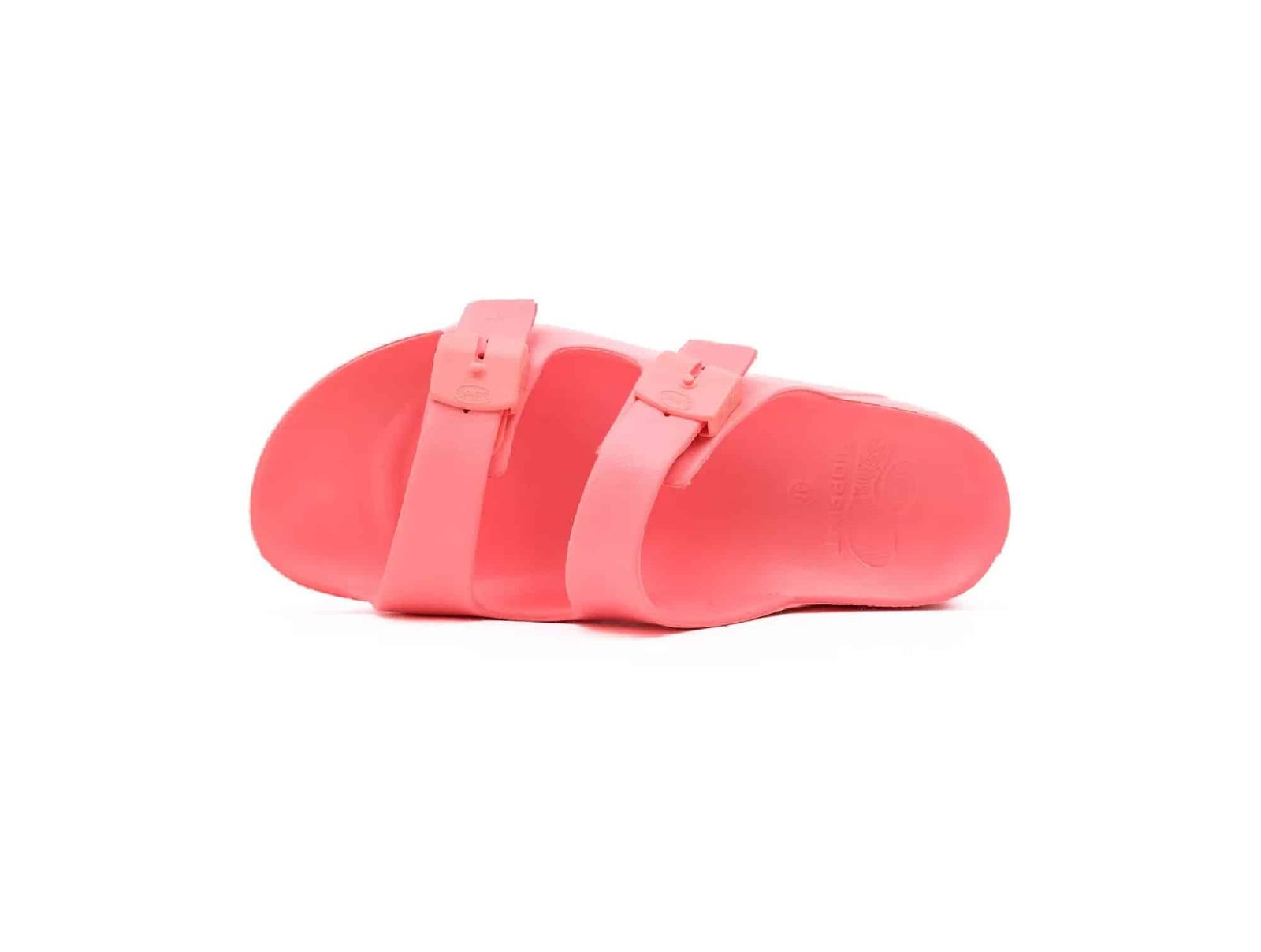 Bahia eva salmon