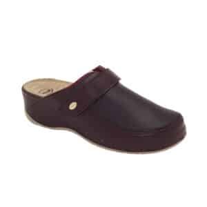 Sabot Alpha Centauri Bordeaux