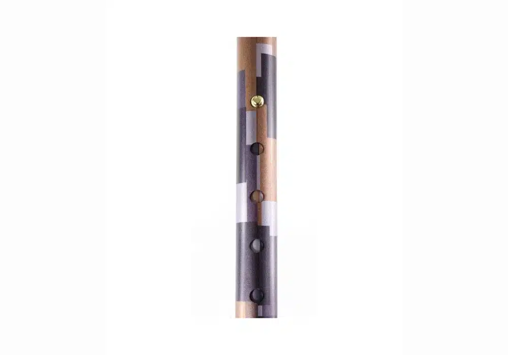 Canne réglable en aluminium (1)