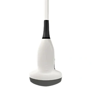 Sonde Convexe pour échographe X1
