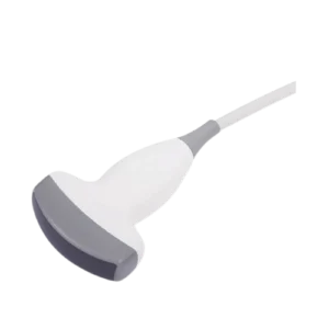 Sondes échographiques