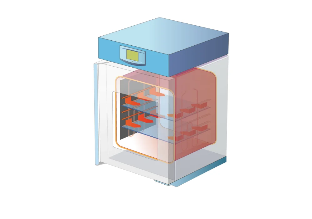Étuve VACUCELL Sous Vide